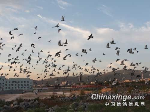 �г�����Ҫ�����ˣ�