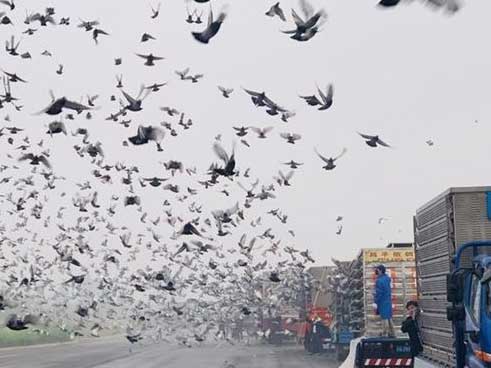 ������������гɼ����� �����Ӻš�������һ��