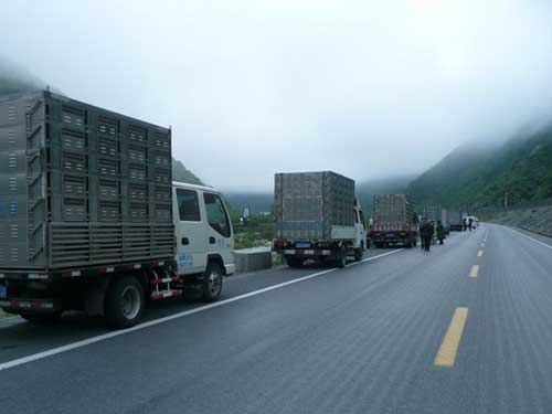 �����й������鳲���� �������¶������