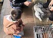 �����ϵĺ����� ����Сʱ�������