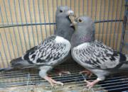 �ٿƳ�֪ʶ��������������Ϊ����״̬