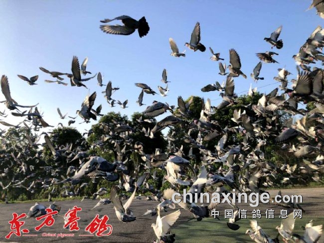 ���������� ��������ʱ�����ƽ𺣰��ٹ����շ�վ���