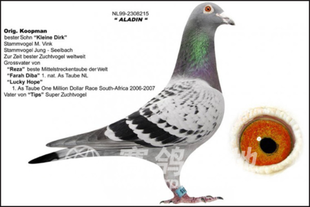 ÿ��һ�룺�������������(ͼ)