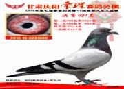�ҵĸ��Ӹ��ҳ�����