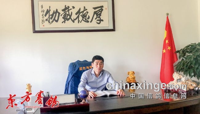 ������ɫ���壺���ܽ�������� ����һ�ֲ�Ƿ