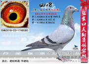 ѡ�ָ뽡�� ��������Ѿ�Ӯһ����