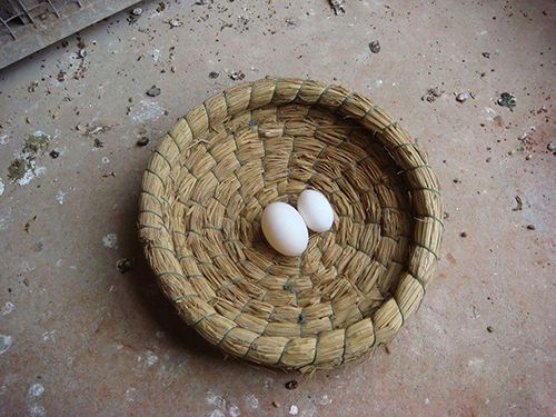 ��ȣ�����������̥����