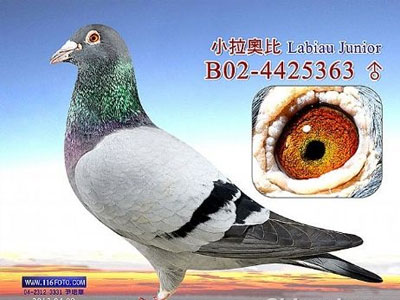 ����ʱ����ͼ���Ӹ��᣺��������һ�ٶ�ιھ�