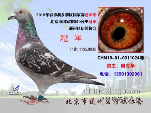 �����й�����8238���ܹھ�����