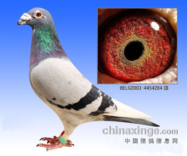 ������Щ 3������ѡ���ʵĹ���