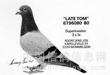 ÿ��һ�룺ɣ��ʿ֮��������ķ��(ͼ)