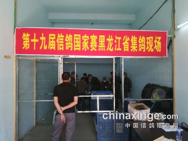 ��������ʮ�Ž�������ŽǴ���