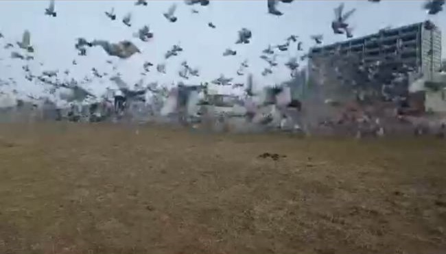 ������ʡ��ʮ�Ž���������ֺ�����������