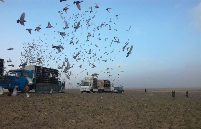 ����3�ȶ����� �½�����������ս�뿭��