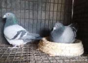 ����ѡ����������׼