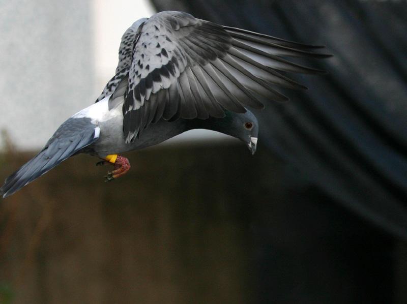 ���²п� ѡ���˾ͱ�Թ