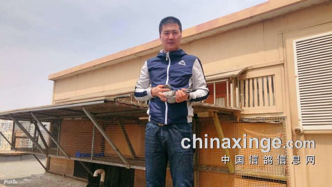 ��ʮ�����������ס������� ���Ĺظ������