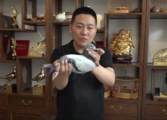 �á��и�Э����ѡ����-��ʿ�ܣ��¼���