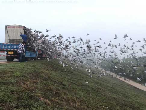 �人������11ʡ��ս��������ǧ�������ڼ���