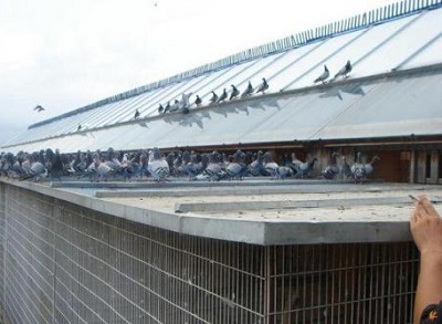 �¡������빫������������