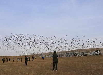 �ҵĴ����ܽ᣺�������� ����ѵ�� ��ɫ����