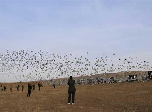 ����ʡ�������Ұ� �����������ܷɸ߷���