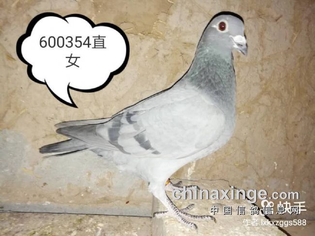 �󵨲���ʵս һ�������������