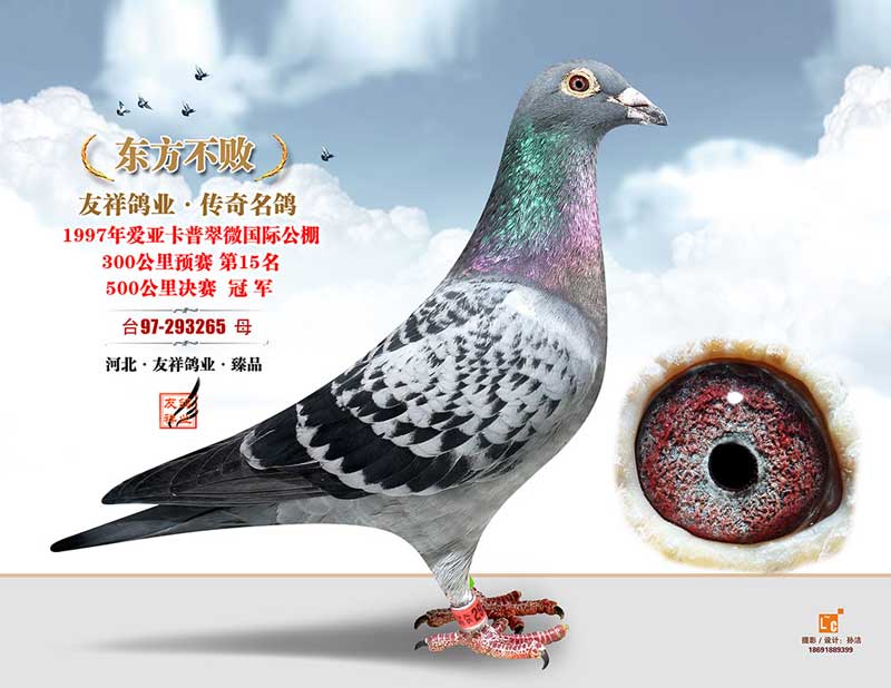 �����ĸ 22������롰�������ܡ�