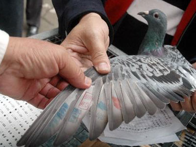 �����롱������� ���������á���Ҳ�ǰ��͡� 