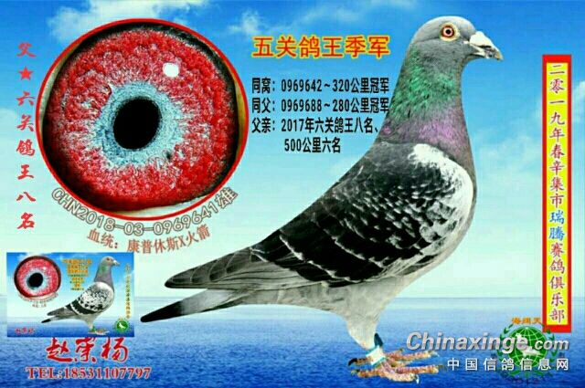 ��ֻ����35��10������