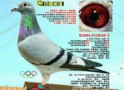 ÿ��һ�룺129�λ񽱡�����Ӣ�ۡ�