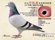 �ҵ�С����ѽ�������ھ�ʧ������