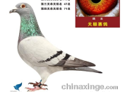 ף�أ���˳����ʹ�躣�������ø���������