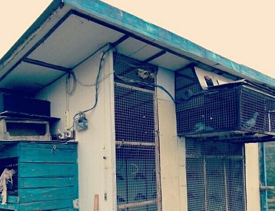 ��������һ��Ҫ�͵�