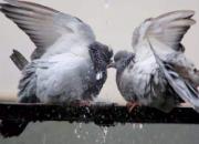 �ٿƳ�֪ʶ���ļ����� ����ǹؼ�