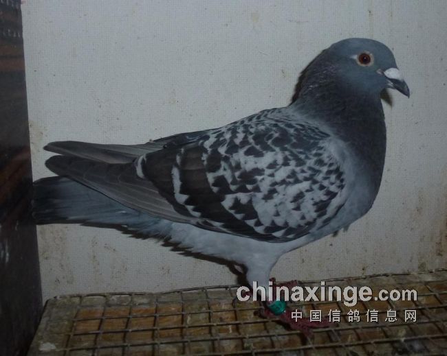 ÿ��һ�룺���ȳ�Զ�����͡���������С�㡱(ͼ)