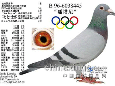 ÿ��һ�룺ȫ��������������ᡱ(ͼ)