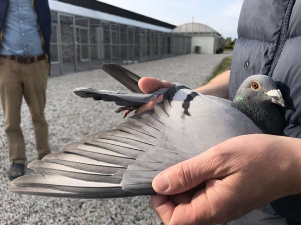 ������³��550����1.5������� ��ƿ��ٶ�ھ���