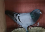 �������ĵ�ǧ�������Բ�ҹھ���