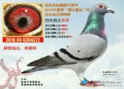 �ø������ԣ�������ͦ��ǰʮ �����Ĺظ����Ǿ�