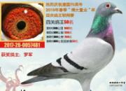 ֧Ԯ���� ��������Բ���Ĺظ�����