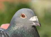 ���������룺45859�������ߡ��Ѳ��桱