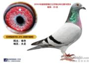 10�����۱���δ�� ����С�Ҿ�ϲ����