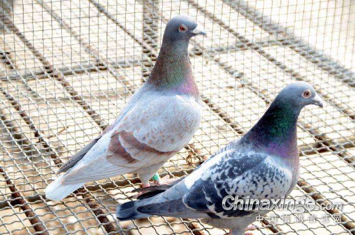 ��Ȼ������������ҩʱ������