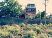 �۲������ţ����������������