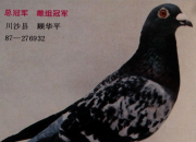 ÿ��һ�룺1989��2000��������ھ�