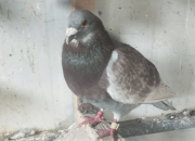 ���ｻ��С�᣺32�������11�� ��������ȫ����