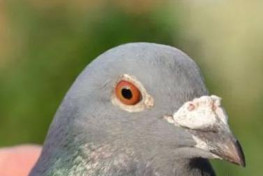 ����ʱ���������5�����󾺼� �ھ����ȿ���