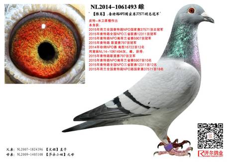 NPO�ܹھ������ۡ����û��߼������й�