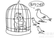 ���ųԸ����ܲ����� ���ӷ�����29���Ÿ�